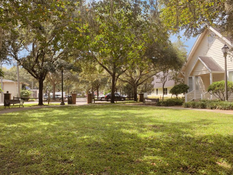 Trees framing a white house