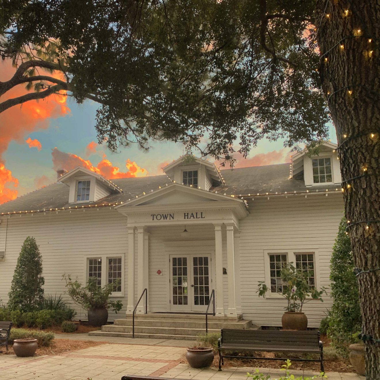 Getting ready for the holidays, 2022. Image by Diane Edwards.