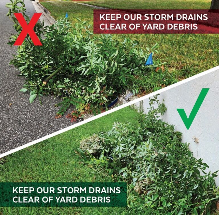 keep our storm drains clear of yard debris. Keep our storm drains clear of yard debris.