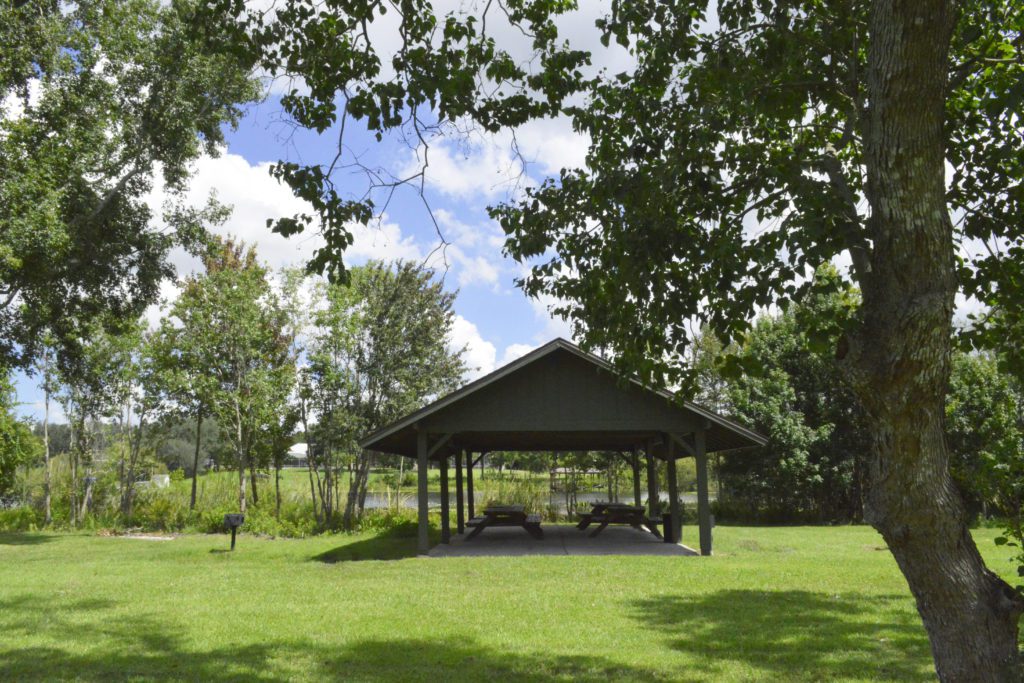 A shaded pavilion with a green roof sits on a grassy area surrounded by trees and blue skies with fluffy clouds.