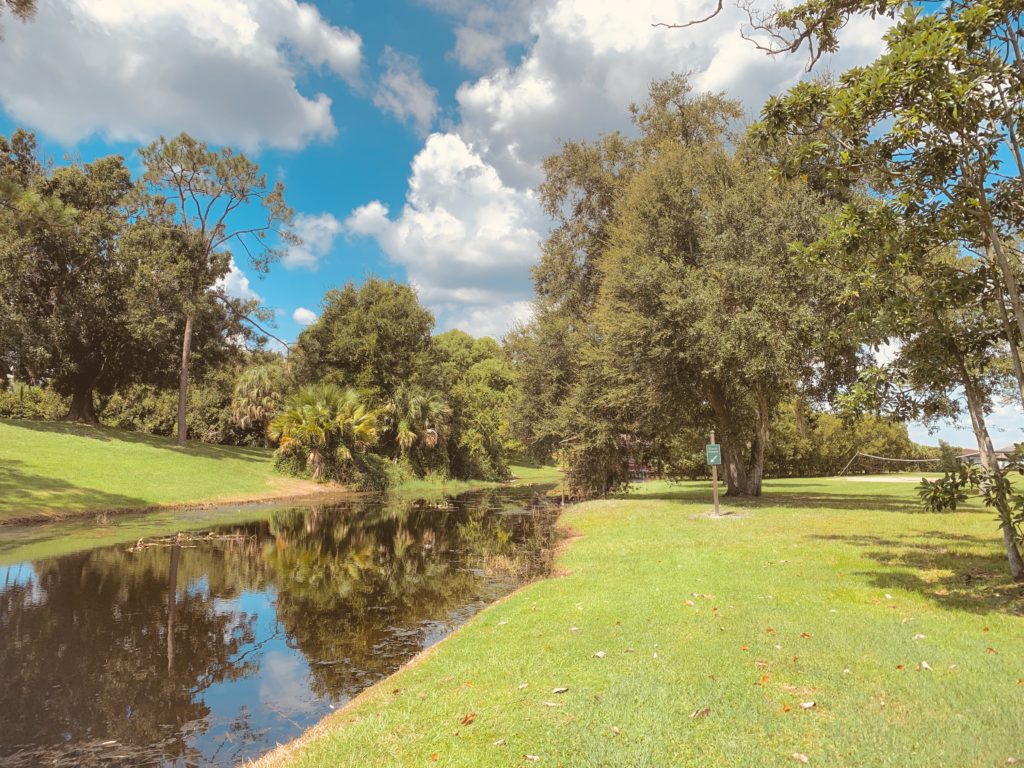 A serene landscape featuring a calm pond bordered by lush green grass and trees under a partly cloudy sky.