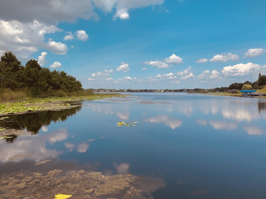 A serene landscape featuring a calm body of water reflecting fluffy clouds and greenery along the shore under a bright blue sky.