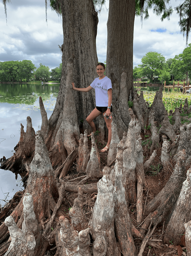 Cypress Trees – Majestic Lakefront Giants