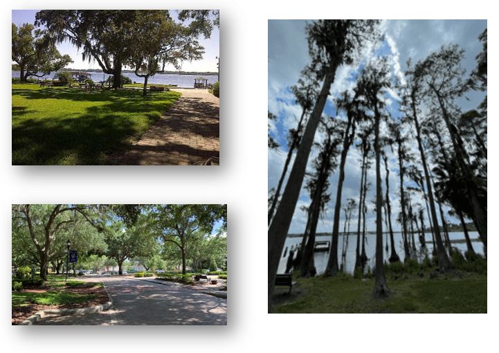 A collage of three images showcasing a scenic park with lush greenery, a pathway, and tall trees against a cloudy sky near a body of water.