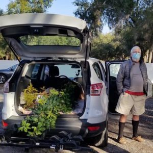 A man wearing a mask stands beside a car with its trunk open, revealing potted plants inside.