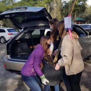 Three individuals are lifting a large potted plant from the trunk of a car in a parking area, with other vehicles visible in the background.