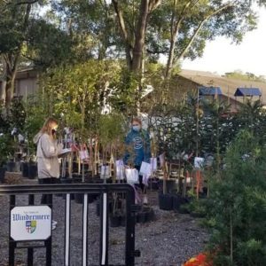Two people are seen in a plant nursery surrounded by various trees in pots, with a sign for 'Windermere' visible in the foreground.