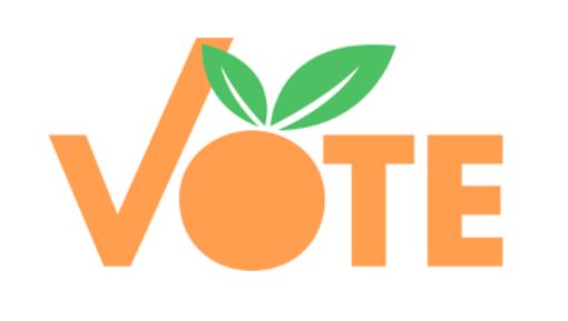 Vote logo