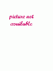 A text-based image displaying the phrase 'picture not available' in a decorative font.