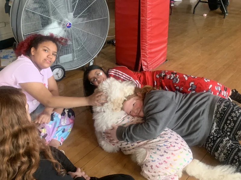 students playing with a dog