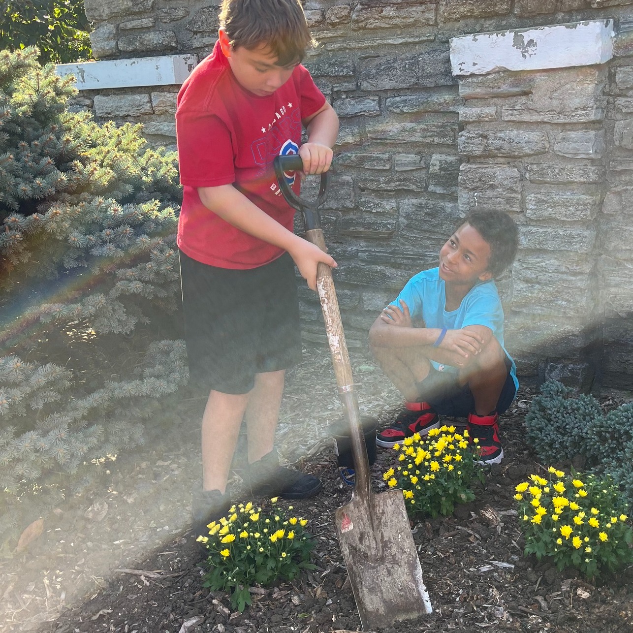 two boys planting flowers