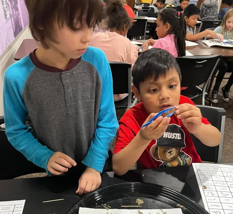 students engaged in an activity