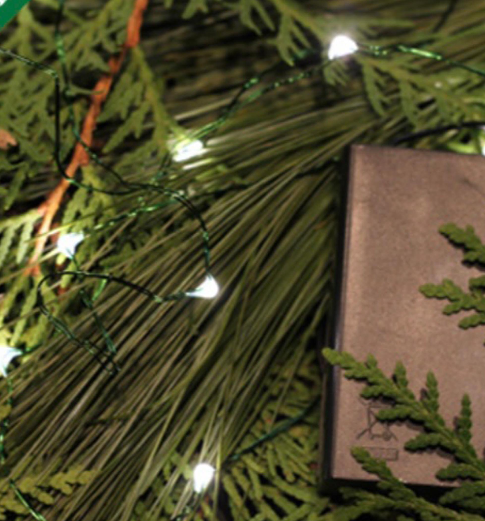 A close-up view of green pine branches adorned with small white lights and a dark rectangular box partially hidden among the foliage.
