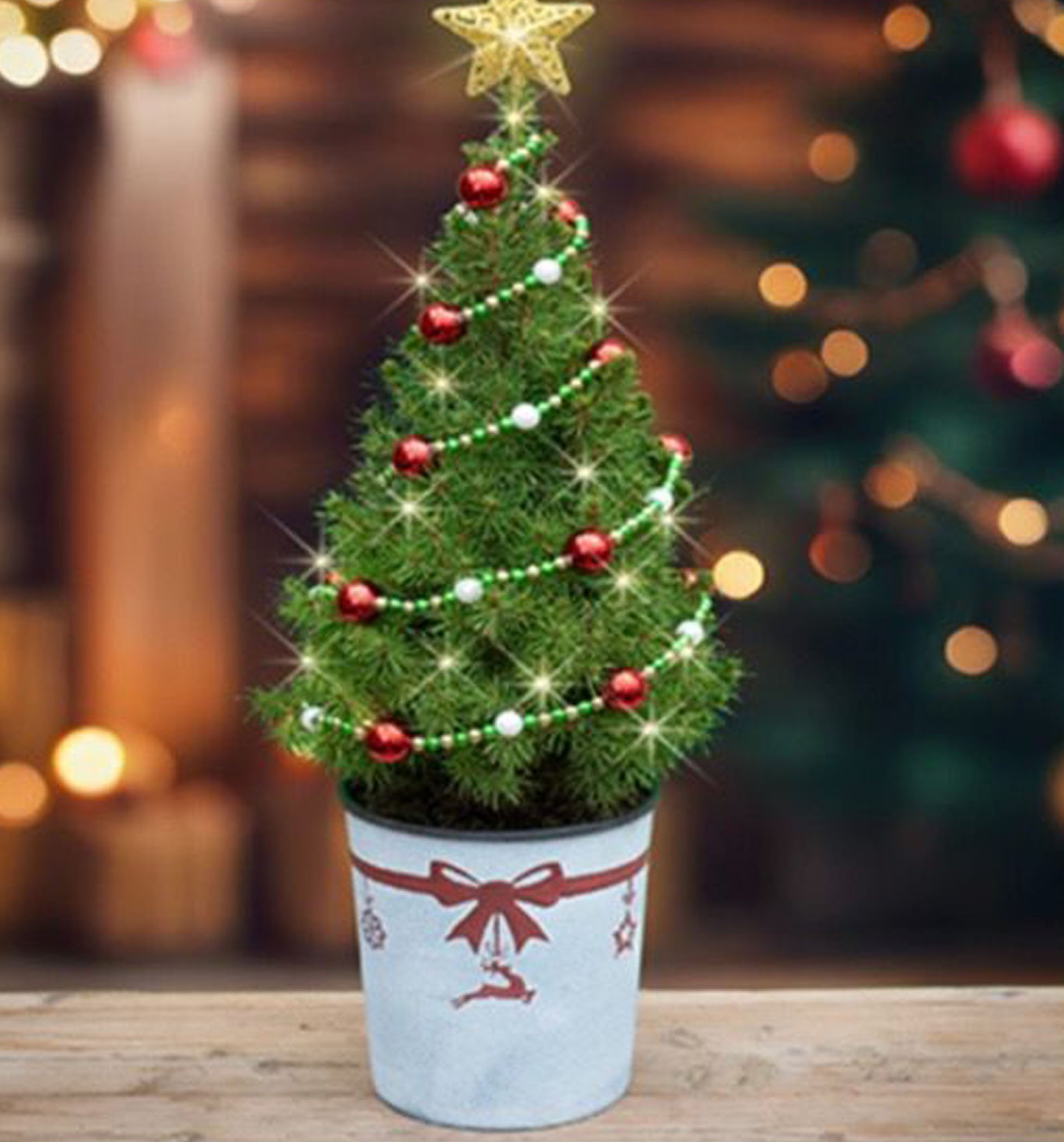 A small, decorated Christmas tree in a white pot, adorned with red and green ornaments and a star on top, set against a blurred festive background with lights.