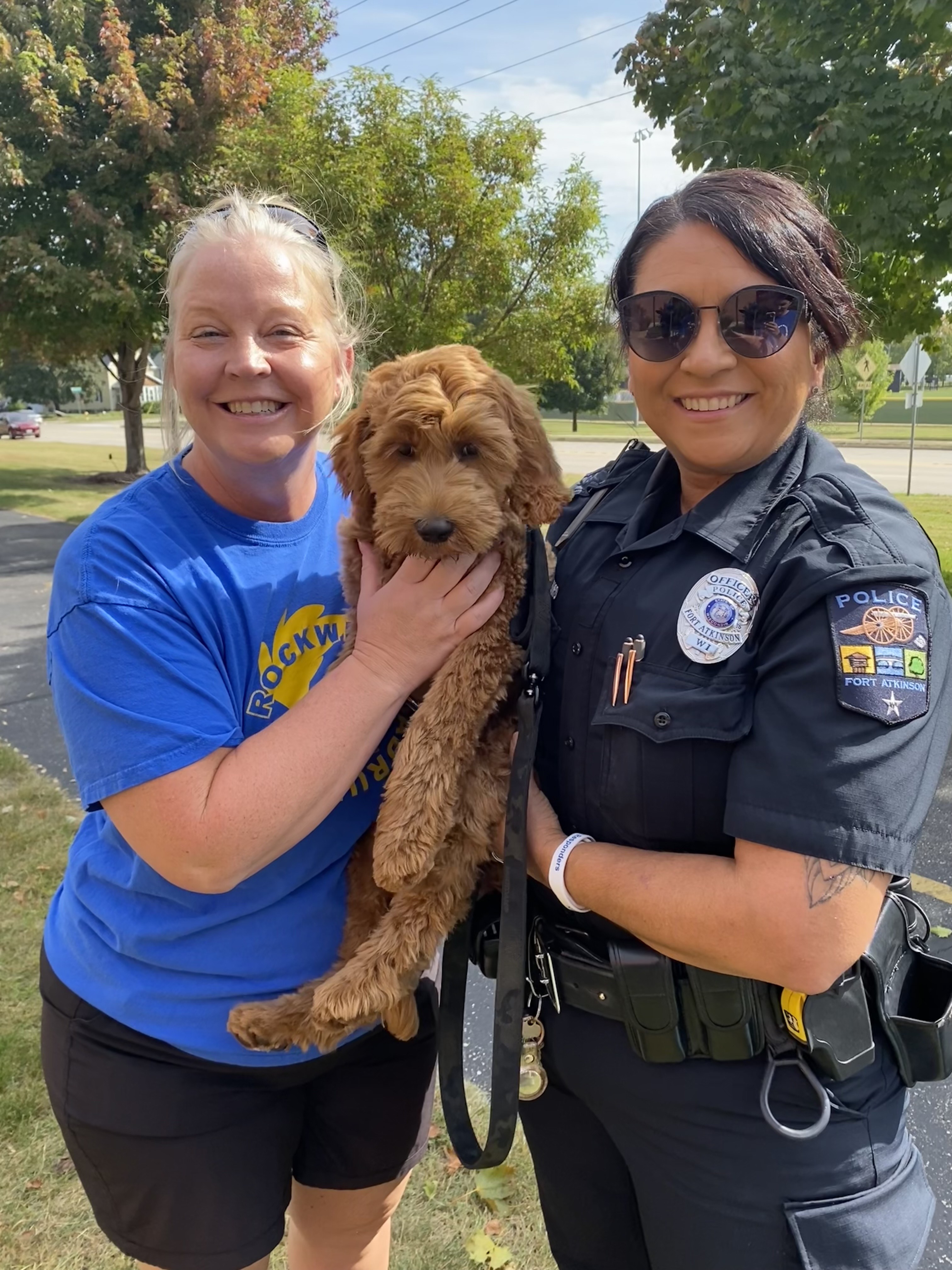 Moose the Therapy Dog