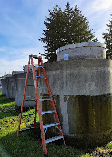 A red ladder stands against a concrete storage tank. Behind it, a grassy area with pine trees.