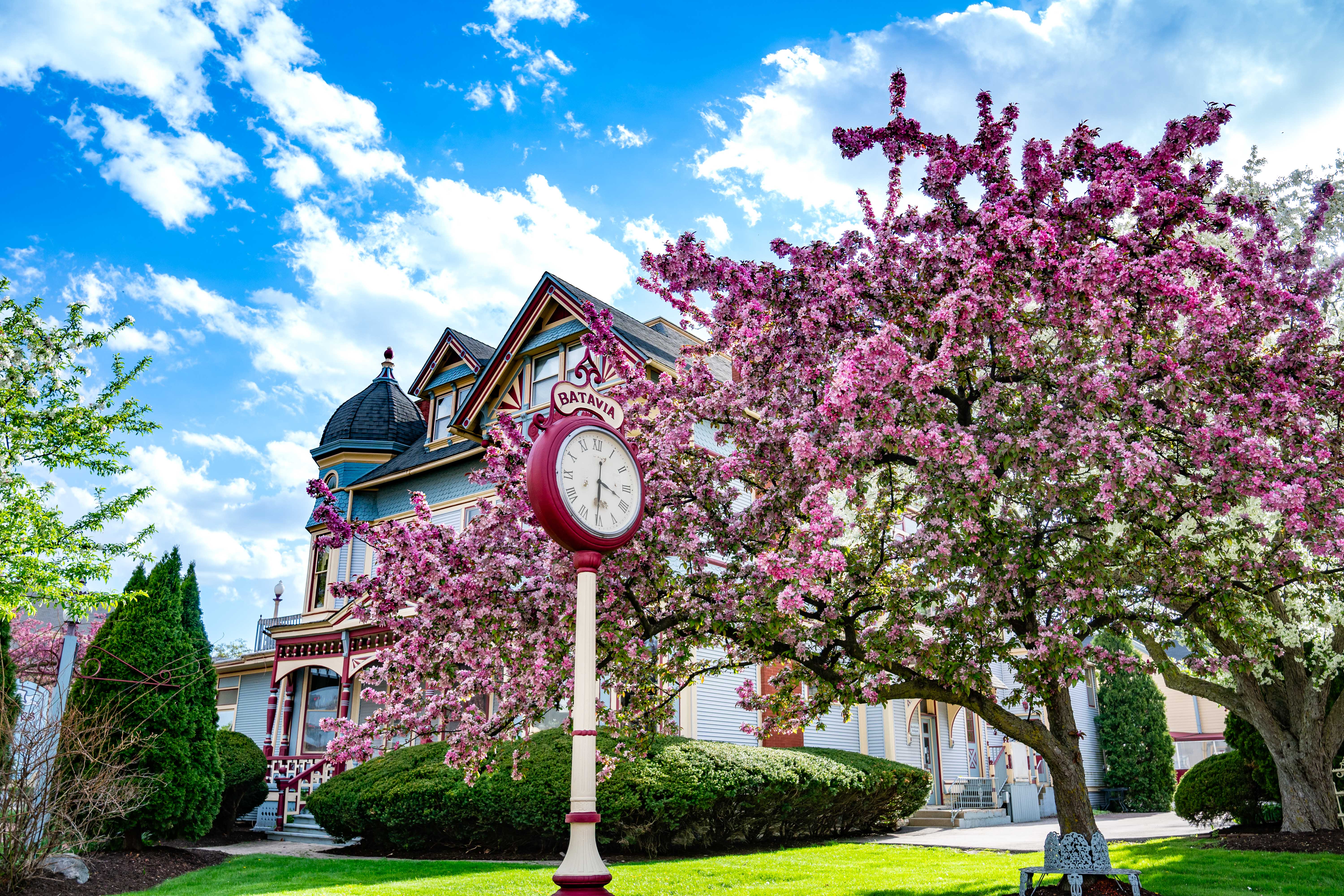 Flowering tree and vintage clock