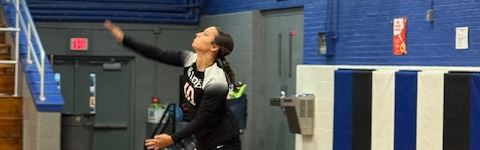 Volleyball Game