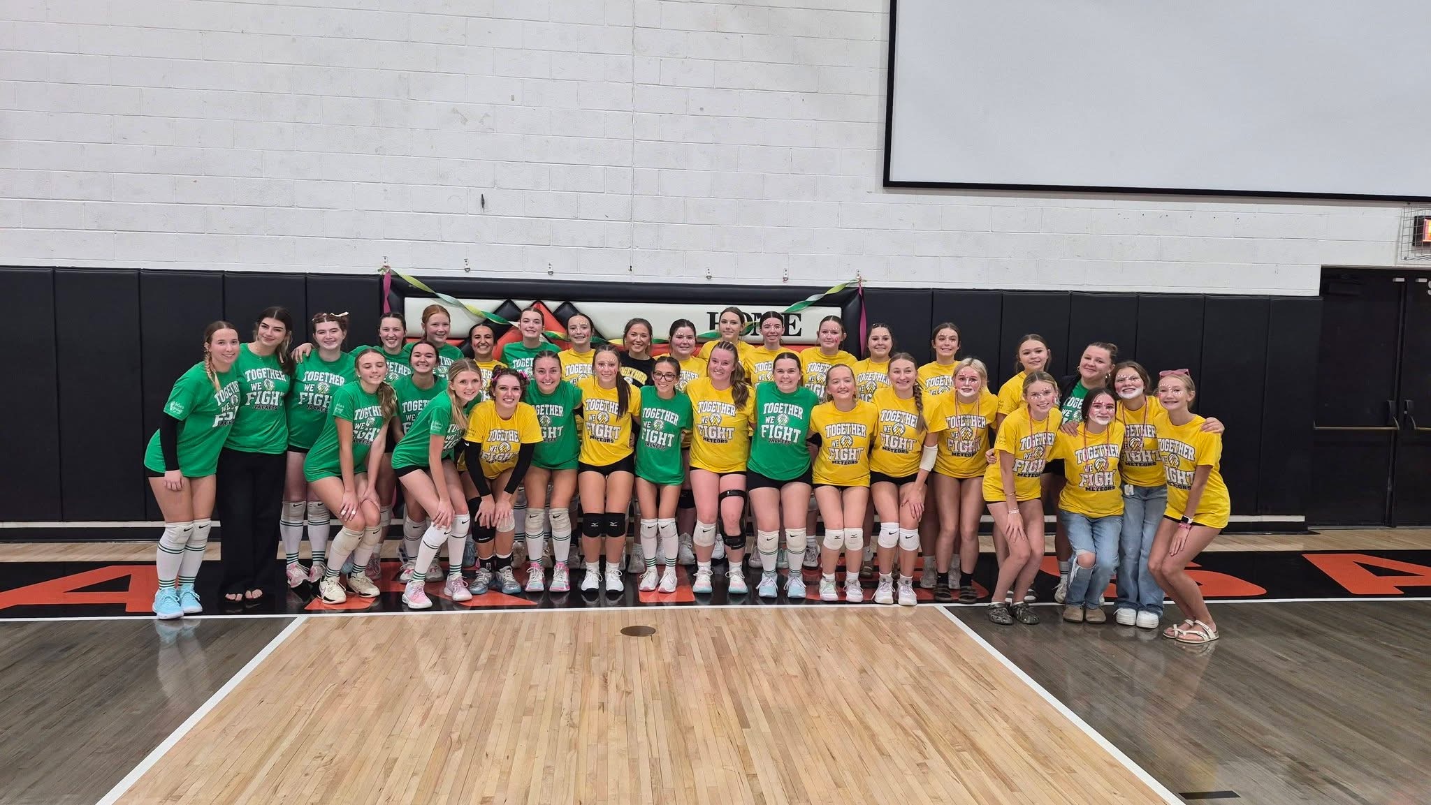 Volley for a Cure