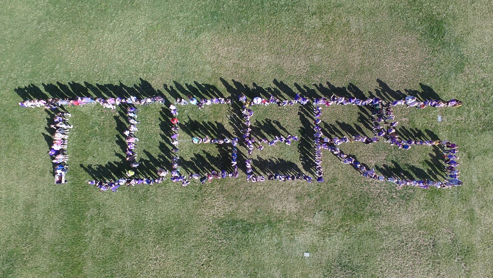 McSorley Students Showing Their Tiger Pride