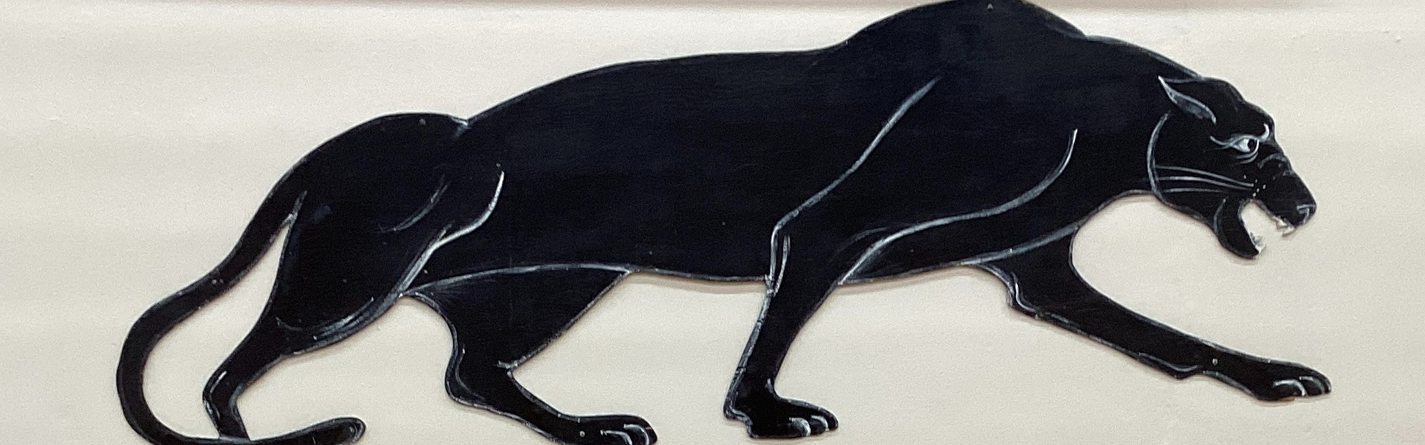 panthers