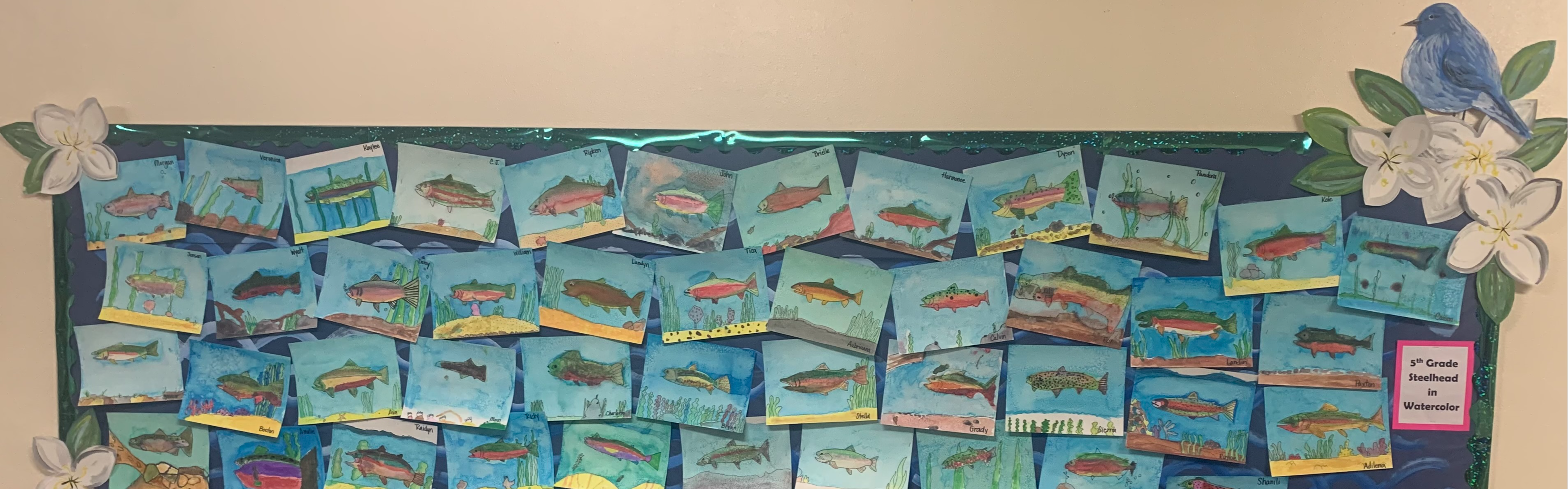 5th Grade Steelhead