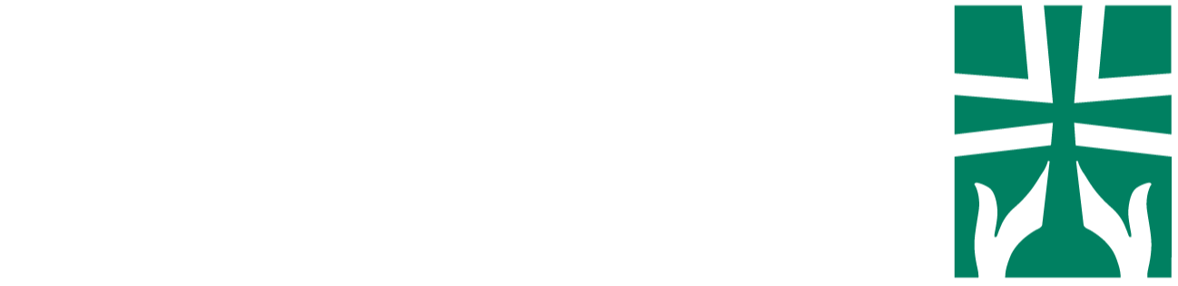avera logo