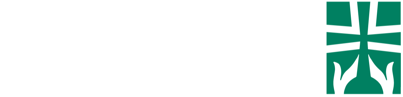avera logo
