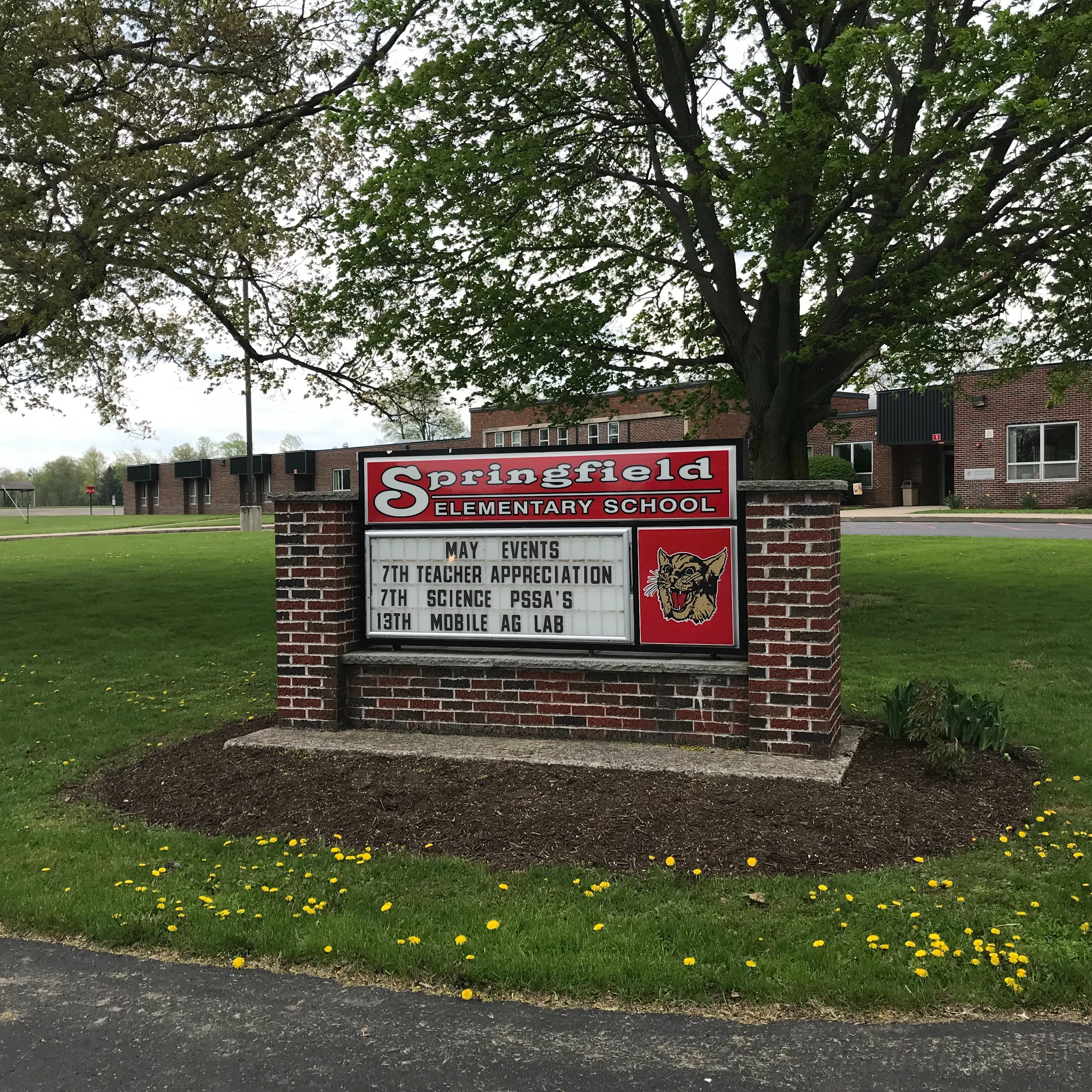springfield elementary