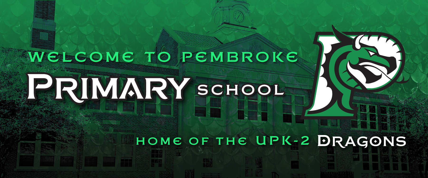 Primary School UPK-12 Dragons Banner