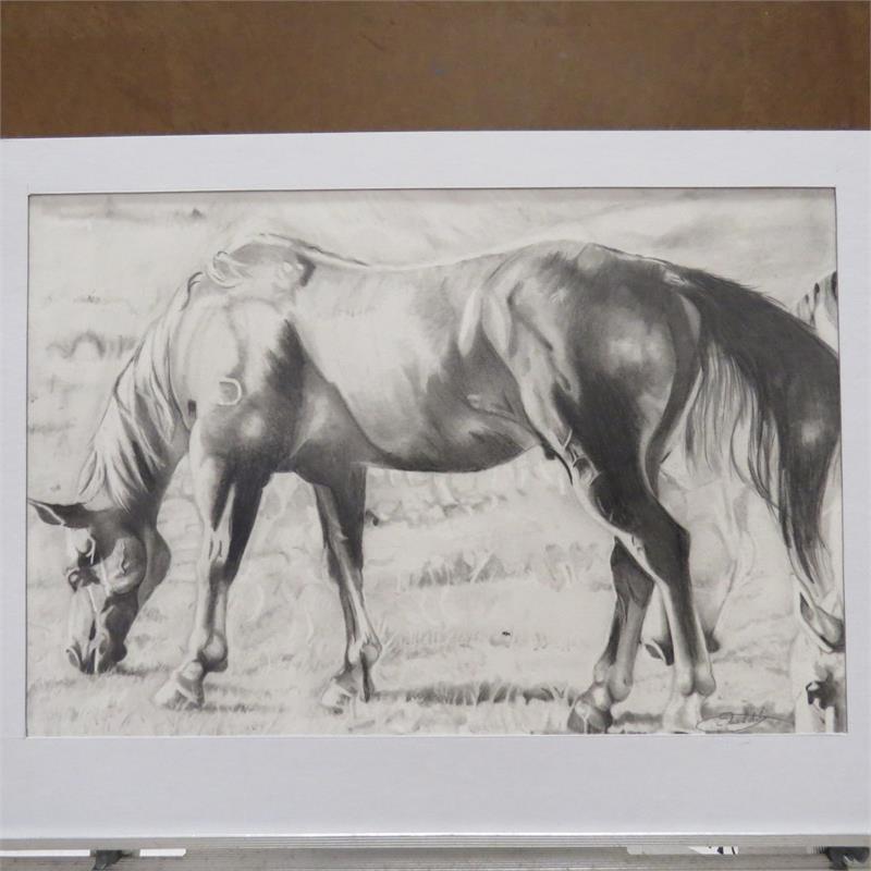 A detailed black and white drawing of a horse grazing in a grassy field, showcasing its muscular structure and flowing mane.