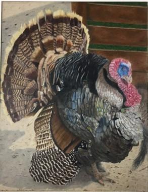 A detailed painting of a turkey showcasing its colorful plumage and distinctive features, including a fan-shaped tail and a red wattle.