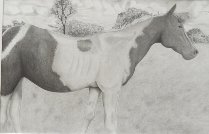 A detailed pencil drawing of a horse standing in a grassy field, with a tree and hills in the background.