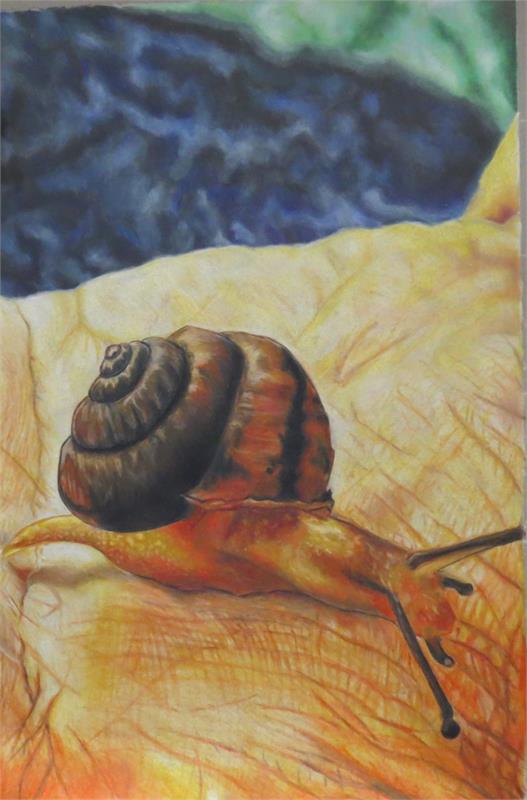 A close-up illustration of a snail with a spiral shell, resting on a textured surface, with a blurred background of natural colors.