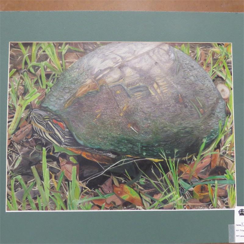 A close-up view of a turtle resting on the ground among green grass and fallen leaves.