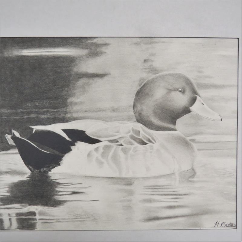 A detailed black and white illustration of a duck floating on water, showcasing its profile and the ripples around it.