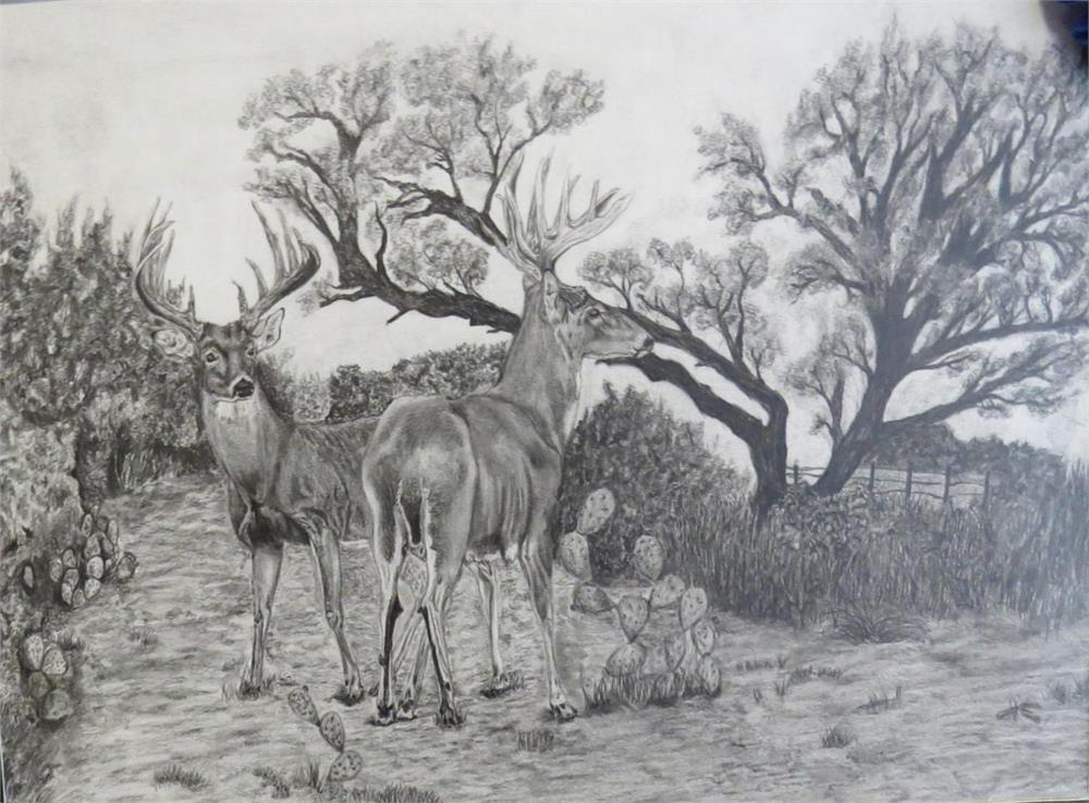 A detailed pencil drawing depicting two deer standing in a natural landscape with trees and bushes, while a small group of rabbits is visible in the foreground.