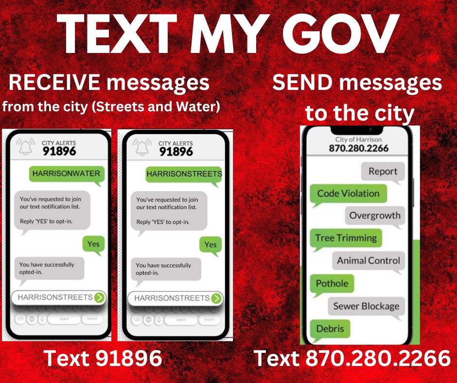 Text my Gov flier