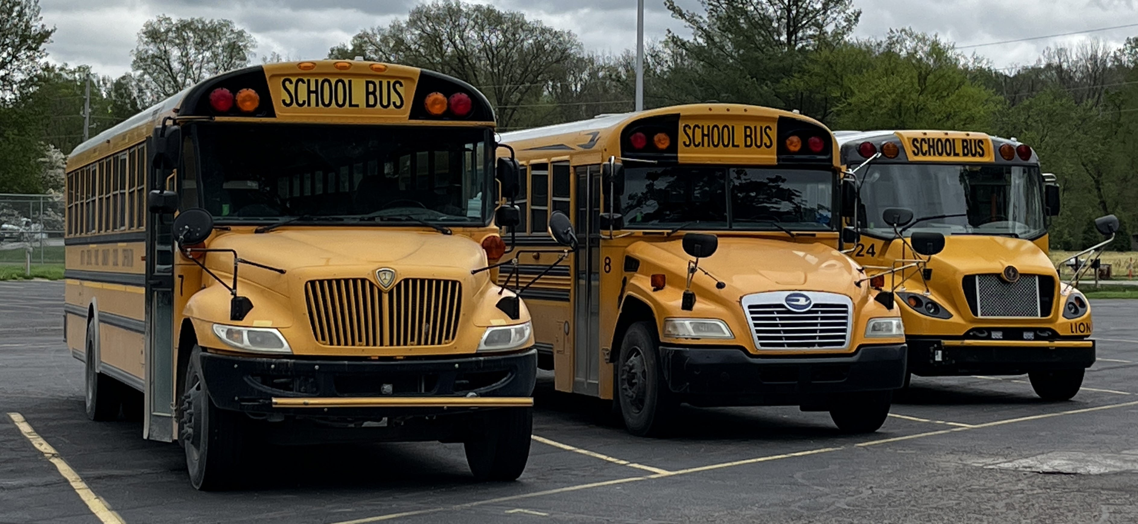 school buses