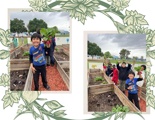 Two photos of children in a community garden, one child holding a large green leaf and smiling, while a group of children stands in the background, all surrounded by wooden garden beds under a cloudy sky.
