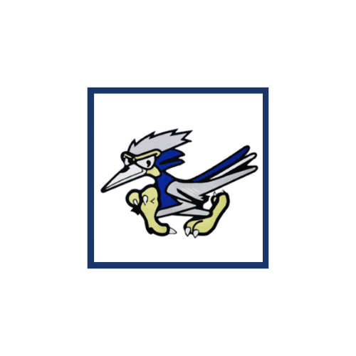 A cartoonish blue jay bird with an aggressive expression, featuring a spiky crest and yellow feet, set against a white background with a blue border.