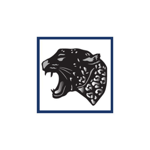 A stylized black panther head with an open mouth, featuring a patterned design, set against a white background with a blue border.
