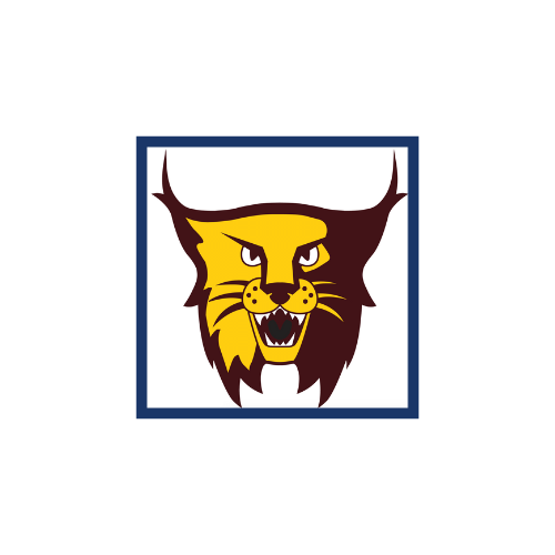 A stylized illustration of a fierce lynx head, featuring yellow and brown colors, set within a square border.