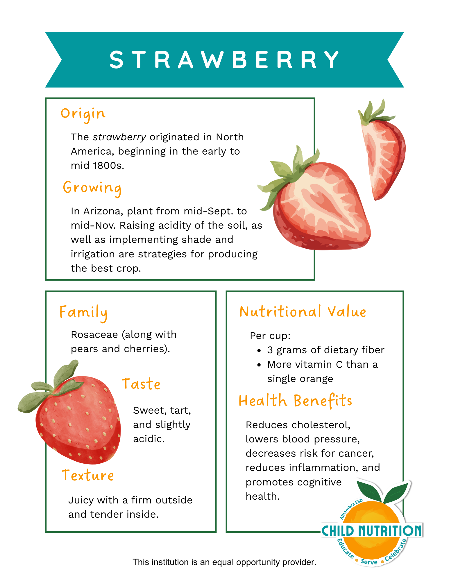 Strawberry Nutrition Information