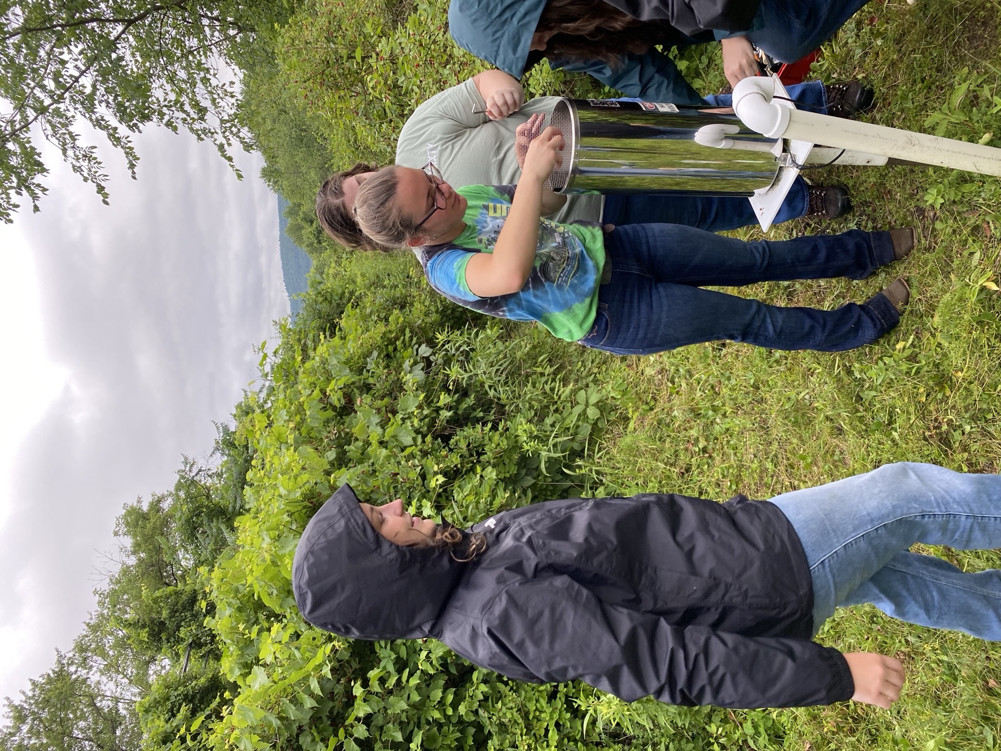 Clearing debris from a rain gauge