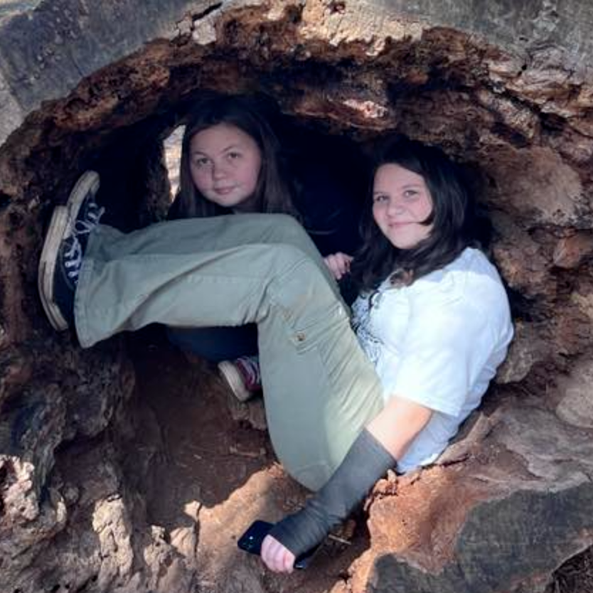 inside a log