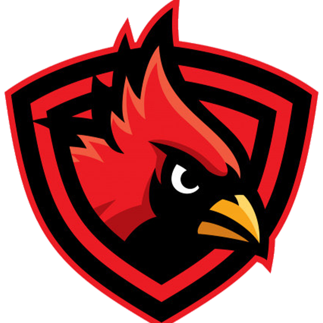 cardinal