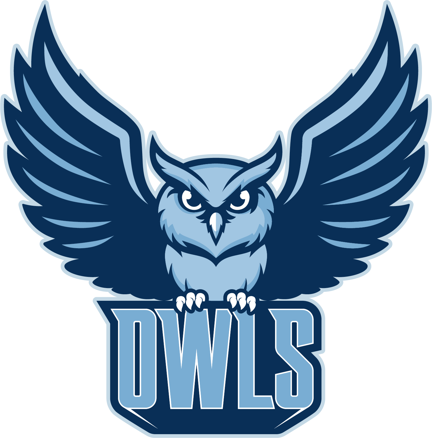Navy and Caroliona Blue Owl sitting atop the word "Owls".