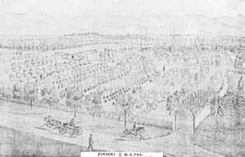 An old drawing depicting a park filled with trees and people enjoying their time outdoors.