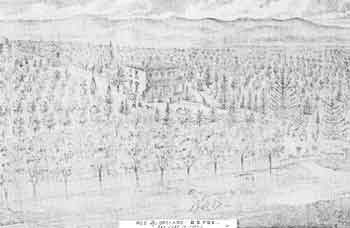 A detailed drawing of a large cityscape featuring tall buildings and lush green trees throughout the urban environment.